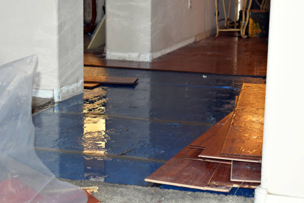 Professional Basement Flood Cleanup technician working in Pearsall, TX